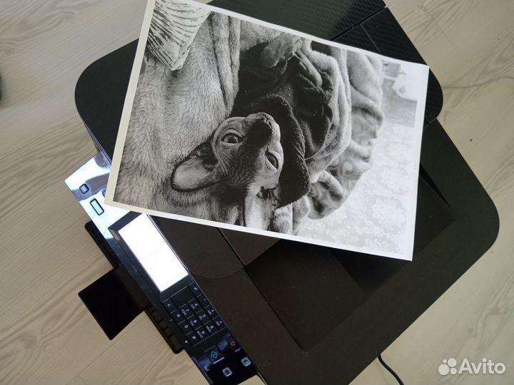 Мфу лазерное Canon i-sensys MF237w (1418C121), ч/б