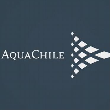 Сёмга, Чили, AquaChile, Superior, 5-6 кг