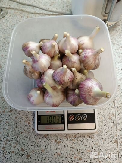 Шикарный чеснок