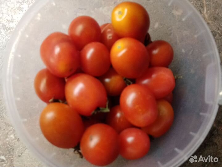 Помидоры, баклажаны