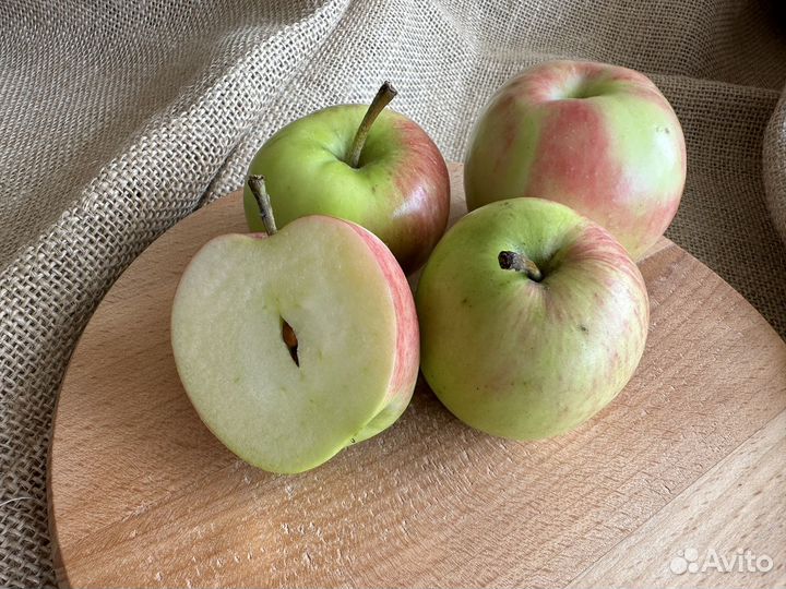 Яблоки деревенские