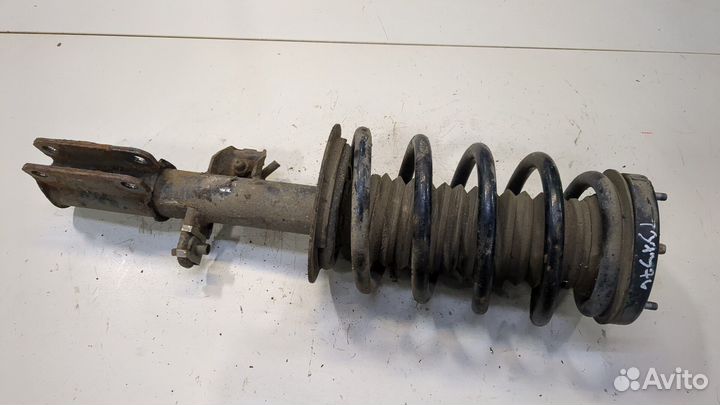 Амортизатор подвески BMW X5 E53, 2001