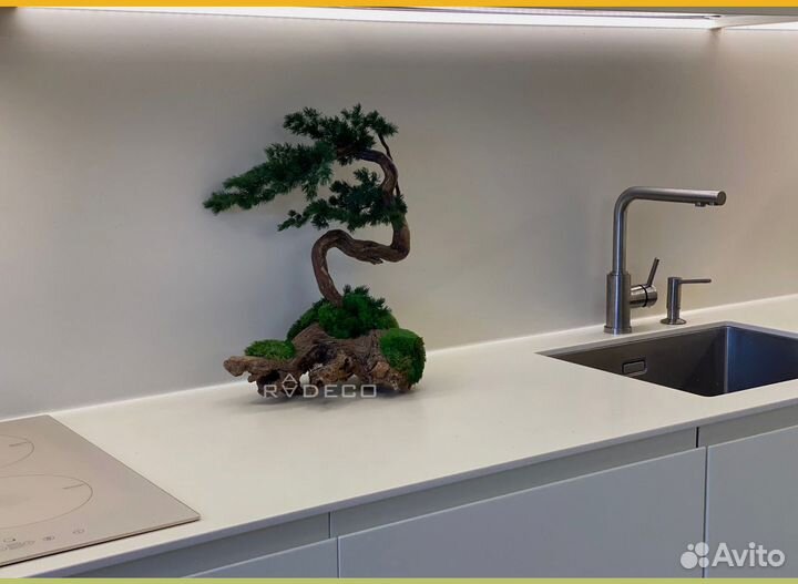 Дерево Бонсай стабилизированный мох