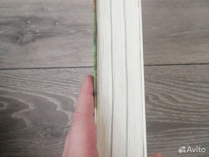 Книга 365 меню на каждый день. Искусная хозяйка