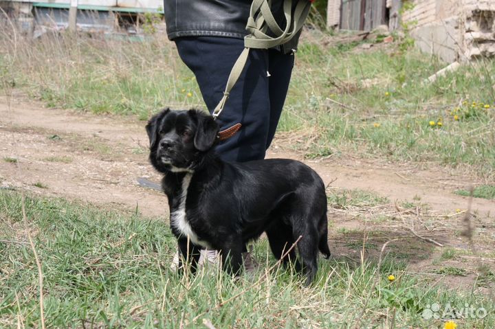 Девочка Боня, 1 год