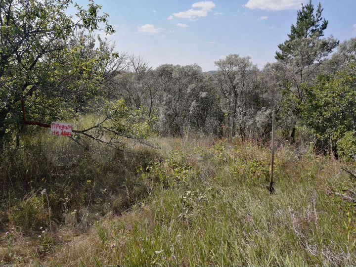 Участок 5 сот. (СНТ, ДНП)