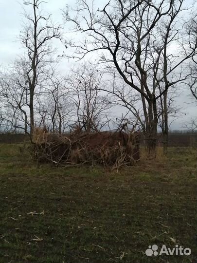 Маскировочная сеть 6х1,47, цвет Темный кустарник