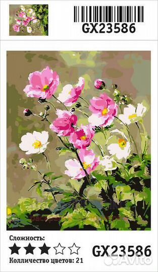 Картина по номерам 40x50 Нежное цветение полевых ц