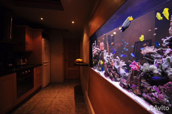 Морской аквариум 3000 литров