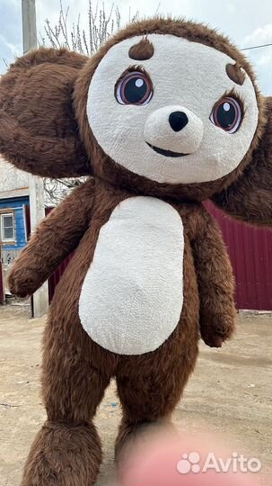 Чебурашка поздравление и белый мишка