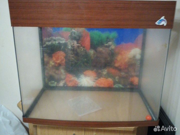 Аквариум