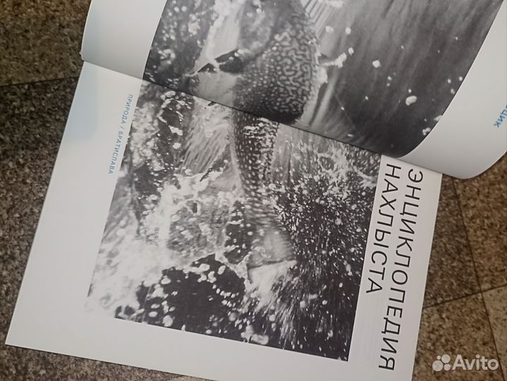 Книга энциклопедия нахлыста для рыболовов