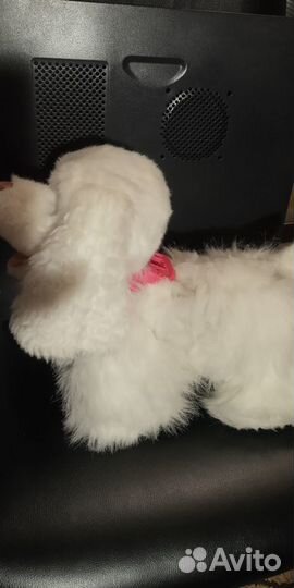 Интерактивный щенок gogo furreal