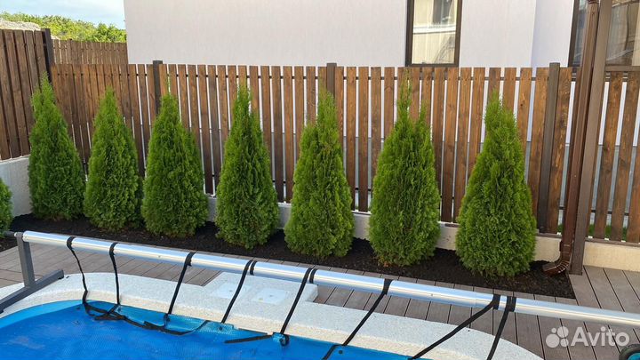 Озеленение и благоустройство