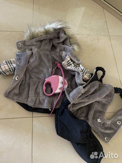 Зимний комбинезон для мелких собак