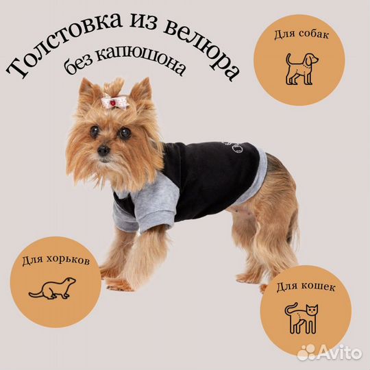 Одежда для собак для кошек Домик Лежанка