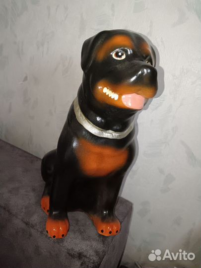 Собака капилка