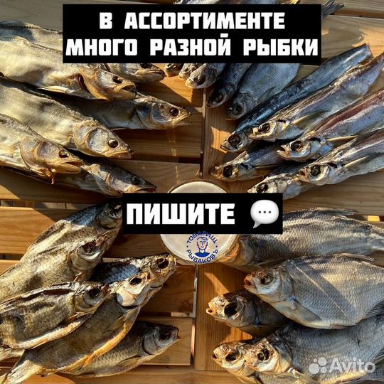 Астраханская вяленая вобла