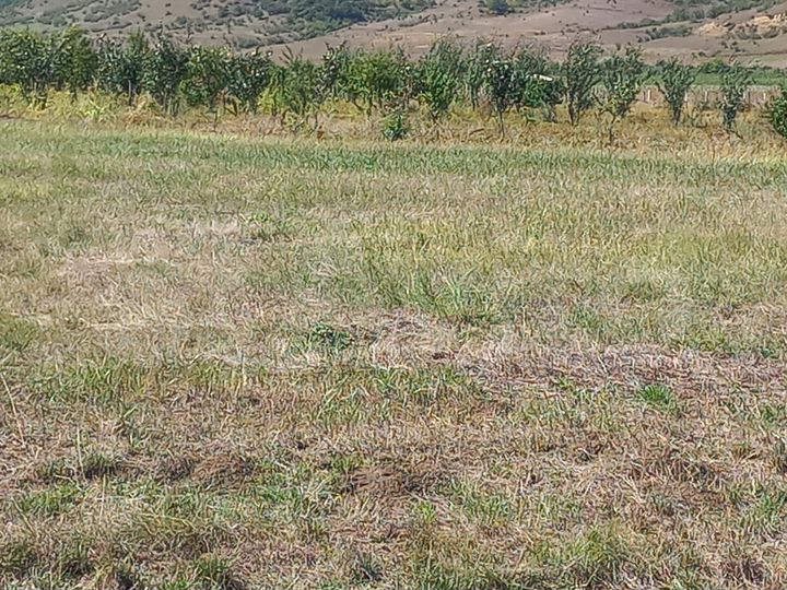 Участок 2 га (СНТ, ДНП)