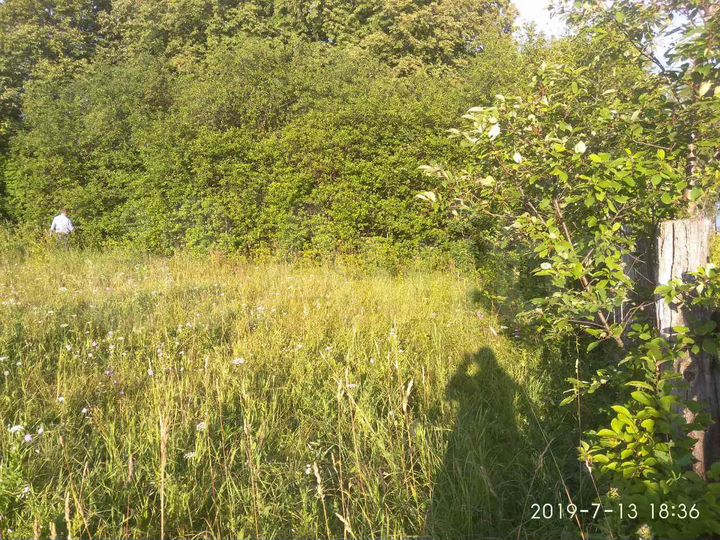 Участок 20 сот. (ИЖС)