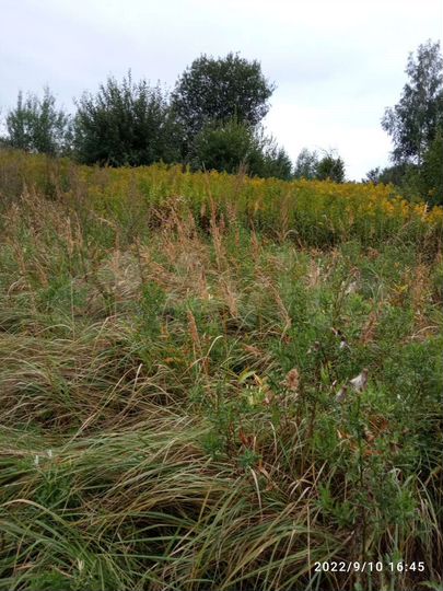 Участок 7 сот. (СНТ, ДНП)