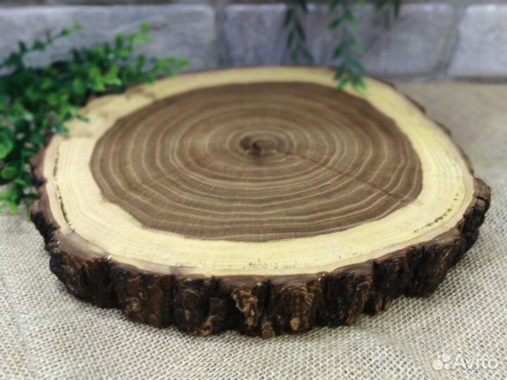 Спилы вяза, дуба