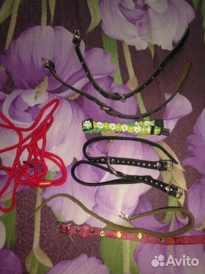 Одежда, ринговка, ошейники, поилки, обувь, игрушки