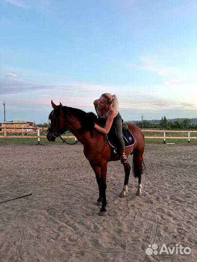 Занятия на лошадях, прогулки на лошадях