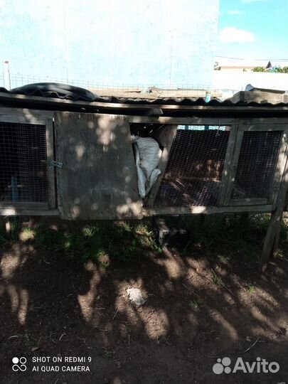 Клетка для кролика