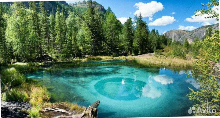 Турпутевка Алтай летом экспедиция 6-8 дн