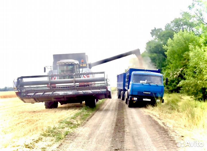 Уборка подсолнечника Услуги с/х работ сев