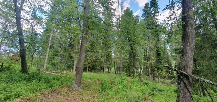 Участок 30 сот. (ИЖС)