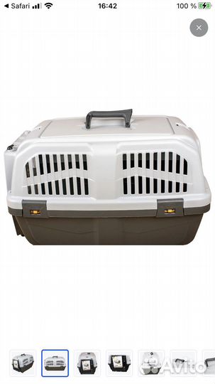 Аренда переноски для кошек и собак