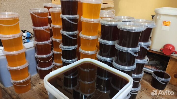 Мед натуральный. Доставка