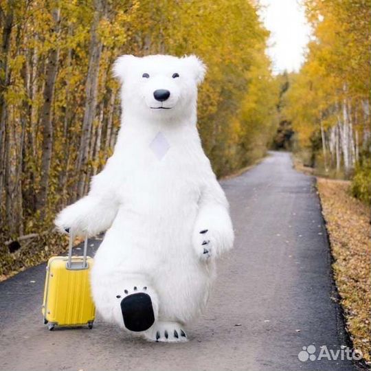 Медведь поздравление 2.6 метра