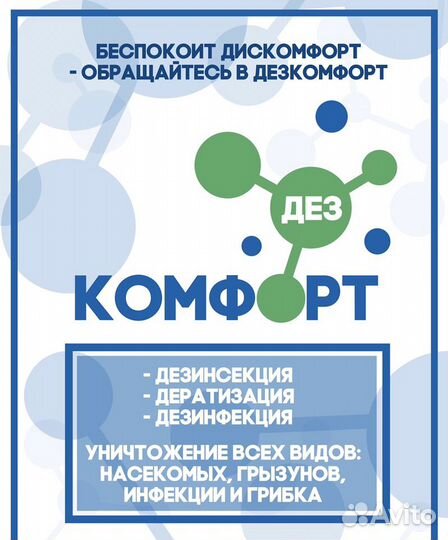 Дезинфекция Дезинсекция насекомых, дератизация