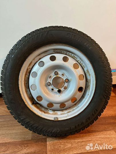 Matador MP 50 Sibir Ice 65 R14