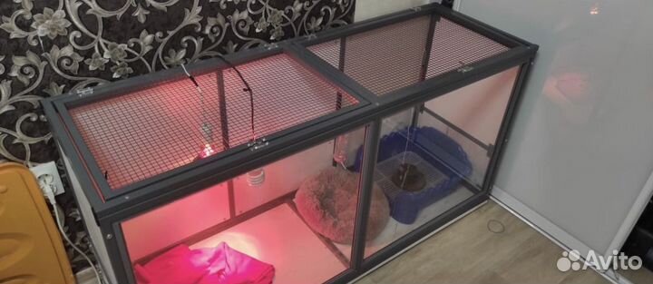 Клетка для суриката