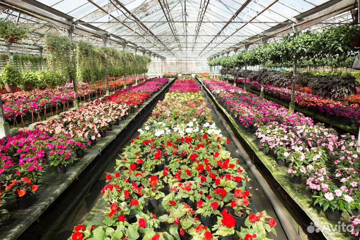 Питомник растений