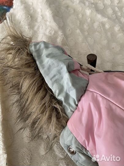 Зимний комбинезон доя маленьких собачек