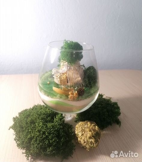 Мини моссариум