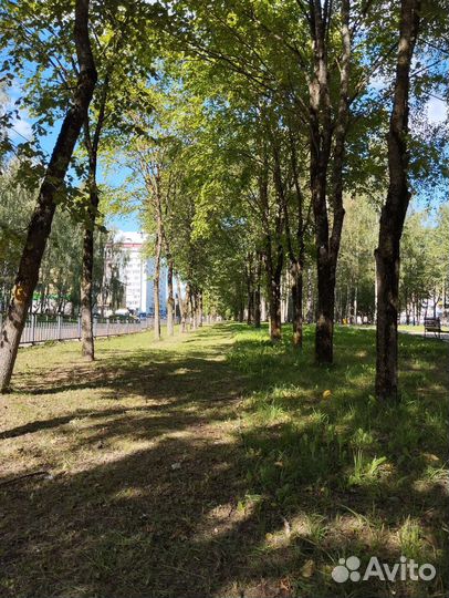Покос травы триммером