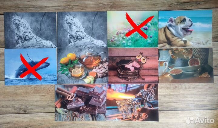 Открытки для посткроссинга. Фотооткрытки