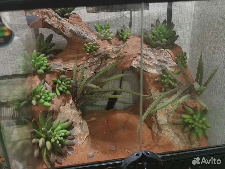 Террариум для рептилий (Хабитат Panteric)