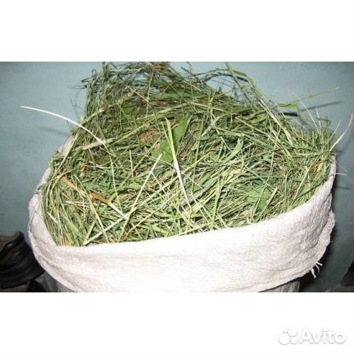 Сено и Солома