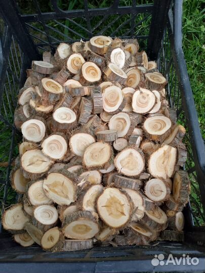 Спилы можевельника