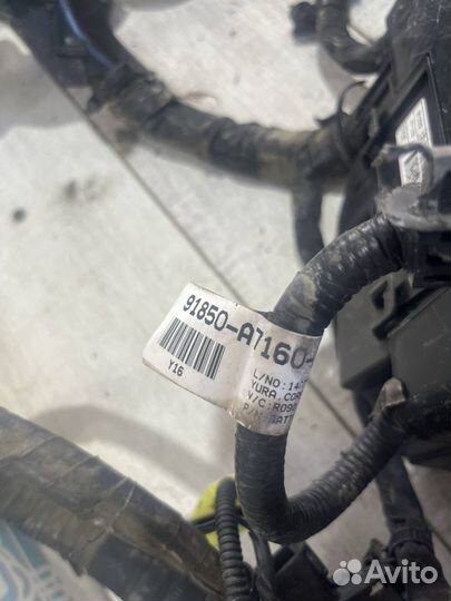 Проводка подкапотная (коса) Kia Cerato 3