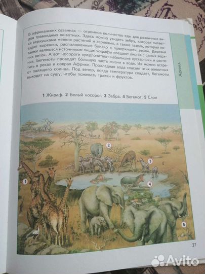 Атлас животные