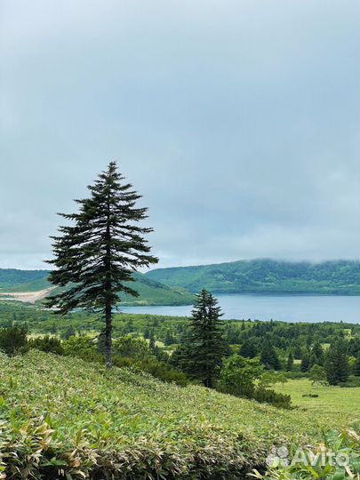 Экскурсия в кальдеру вулкана Головнина и глэмпинг