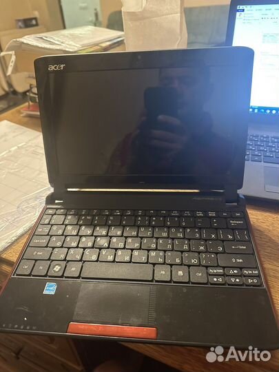 Acer